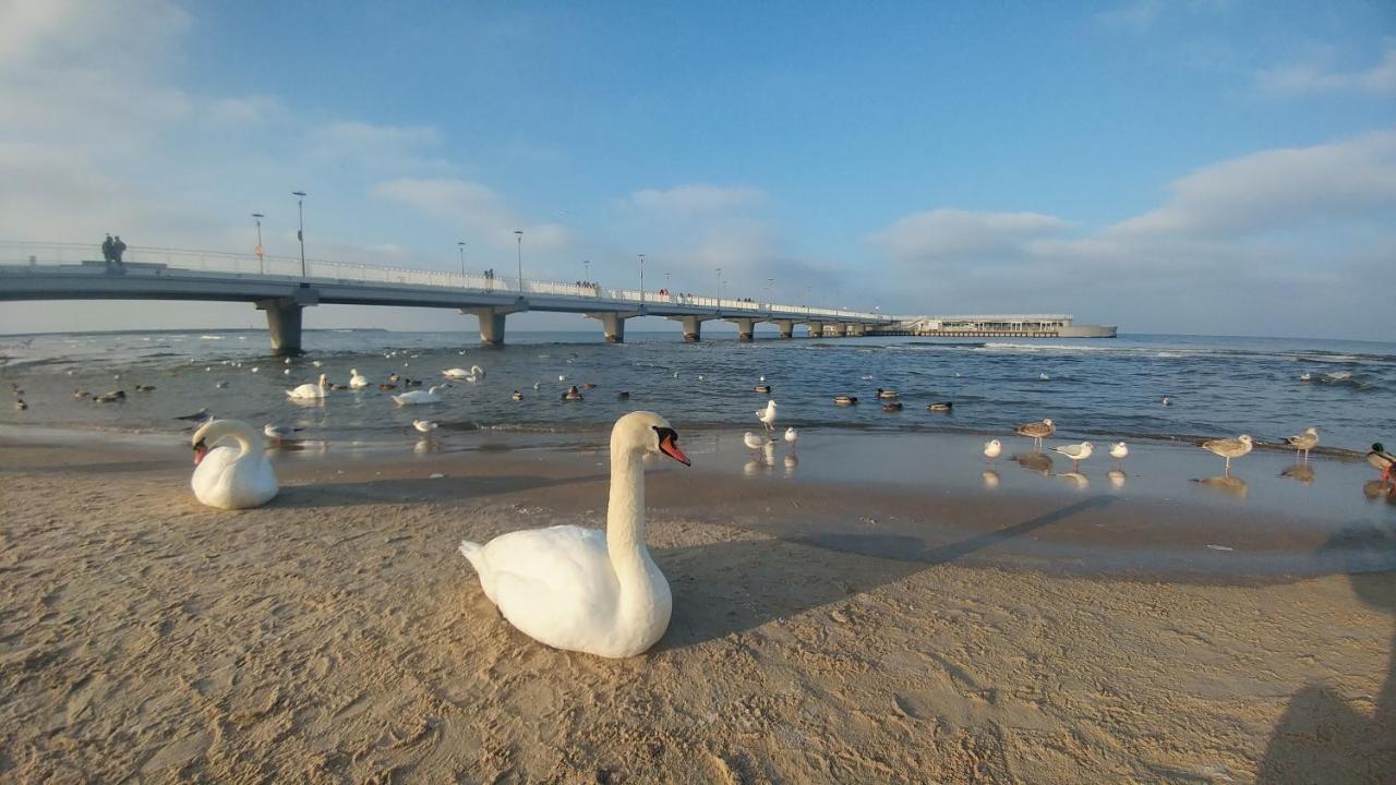 Apartamenty Prywatne W Hotelu Przy Plazy Diva Kołobrzeg Esterno foto